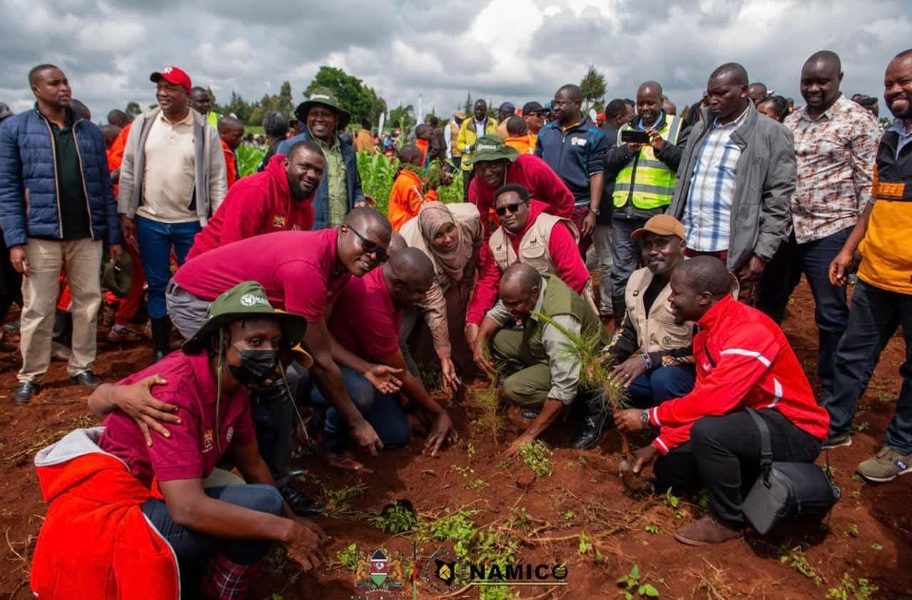 9th Edition of the Kaptagat Forest Annual Tree Growing Event