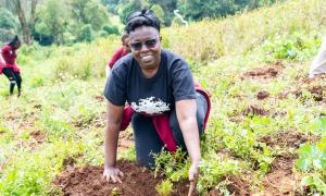 tree planting