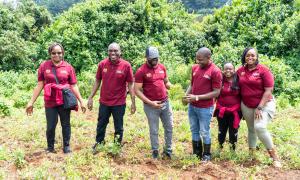 tree planting