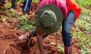 9th Kaptagat Annual Tree Planting