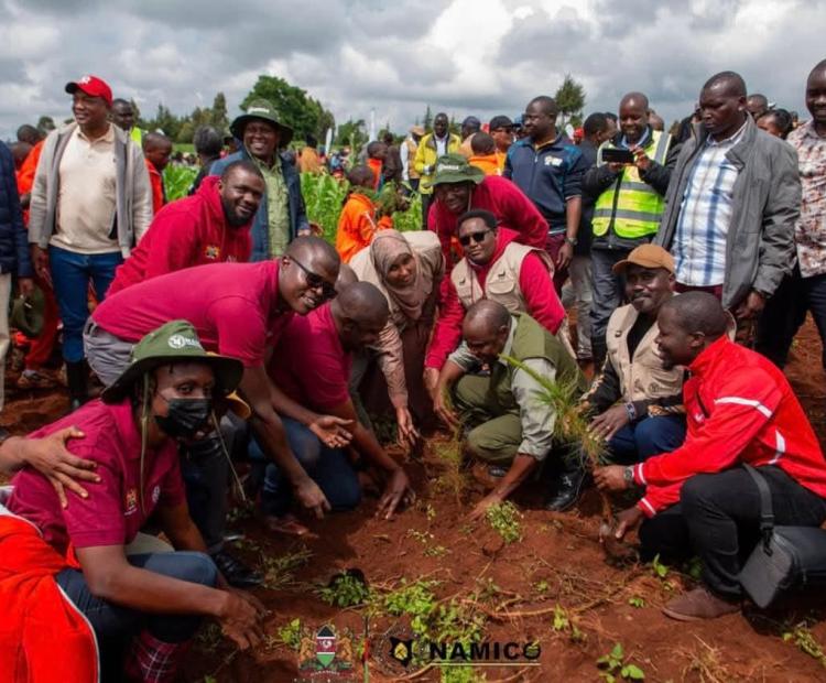 9th Edition of the Kaptagat Forest Annual Tree Growing Event